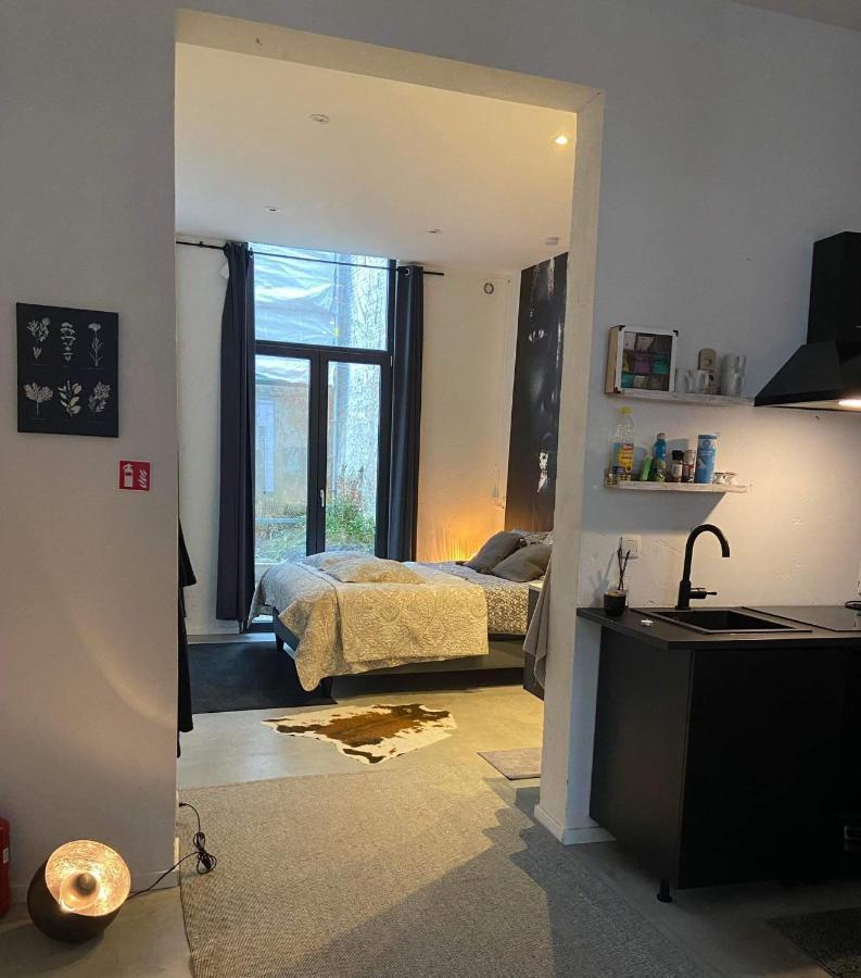 Garden Suite In City Center Antwerpen Ngoại thất bức ảnh